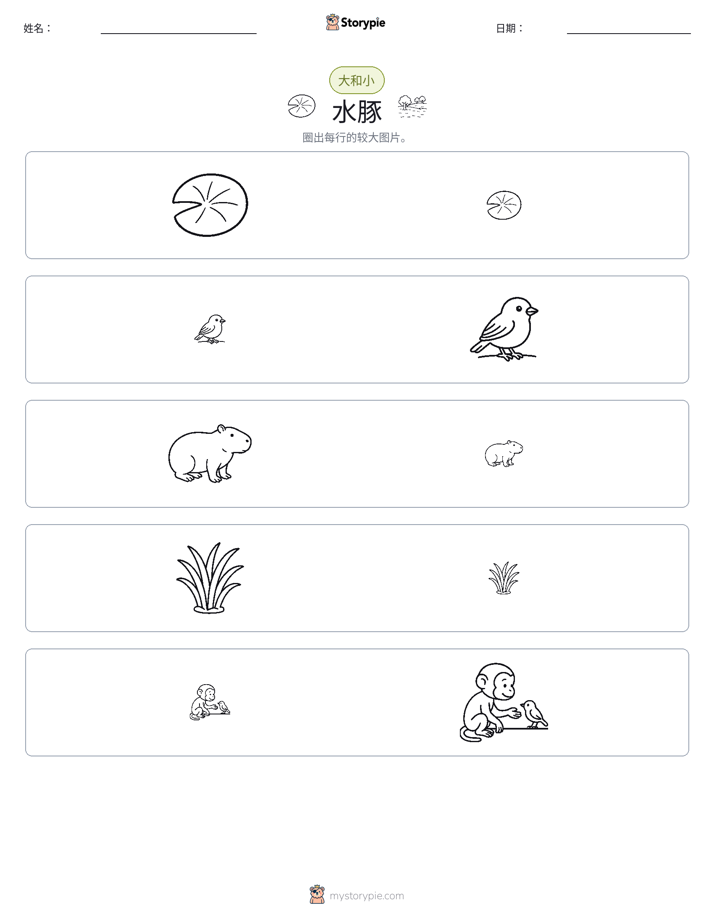 分类