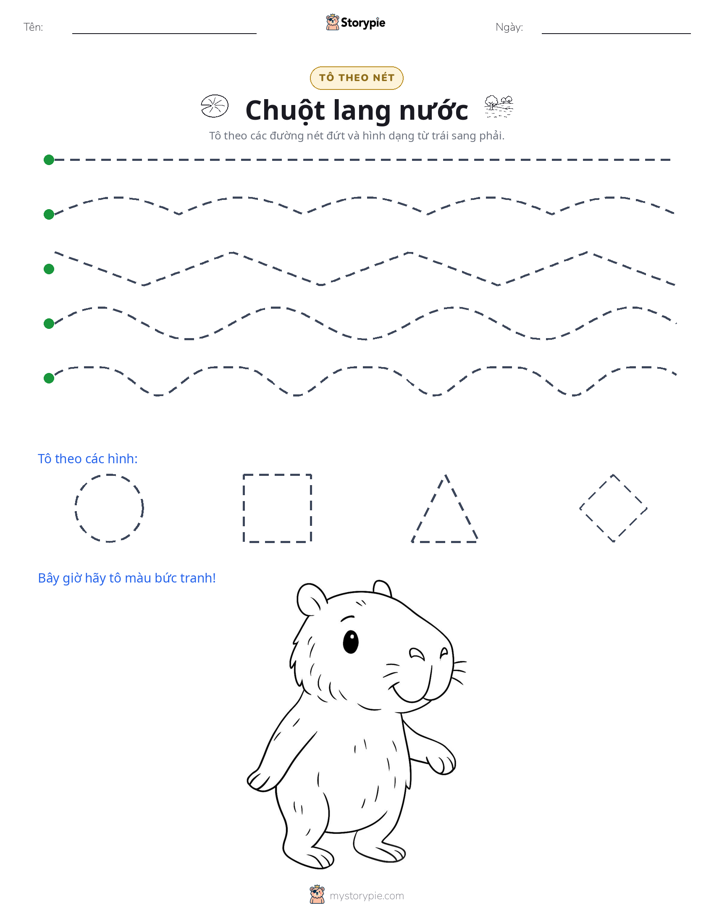 Vẽ Theo Đường