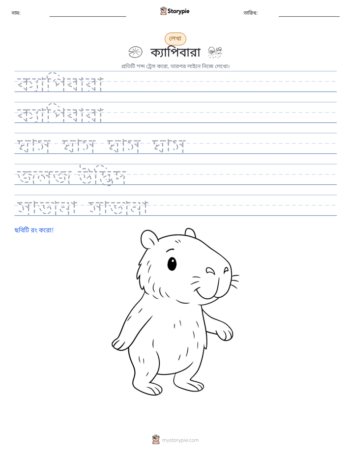 লেখার অনুশীলন