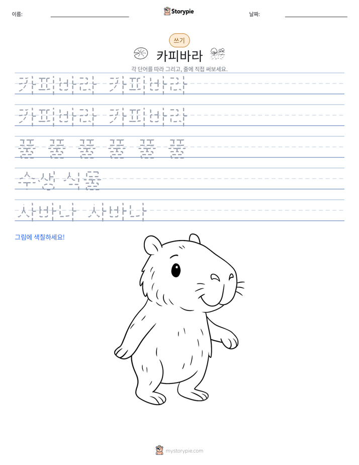 쓰기 연습