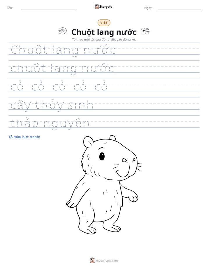 Luyện Viết