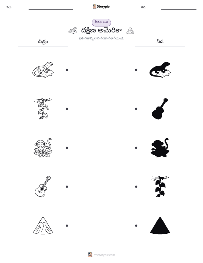 షాడో మ్యాచ్