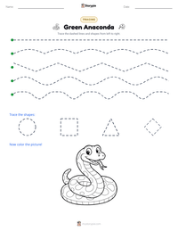 Green Anaconda printable worksheet preview