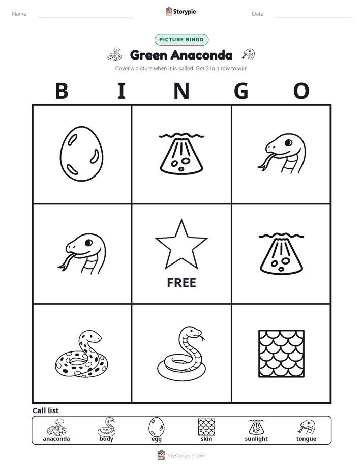 Picture Bingo