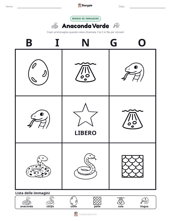 Bingo delle Immagini