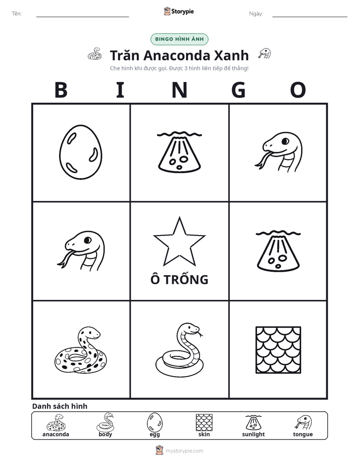 Bingo Hình Ảnh