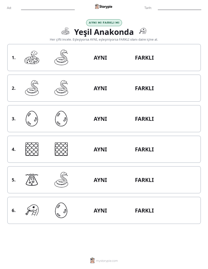Aynı mı Farklı mı