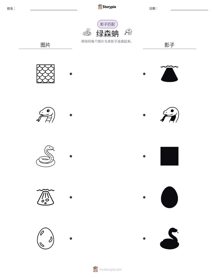 影子匹配