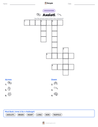 Axolotl printable worksheet preview