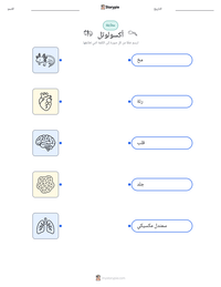 معاينة ورقة العمل القابلة للطباعة أكسولوتل