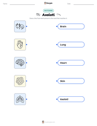 Axolotl printable worksheet for kids