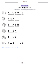 Axolotl printable worksheet preview