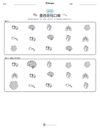 墨西哥钝口螈 可打印工作表预览