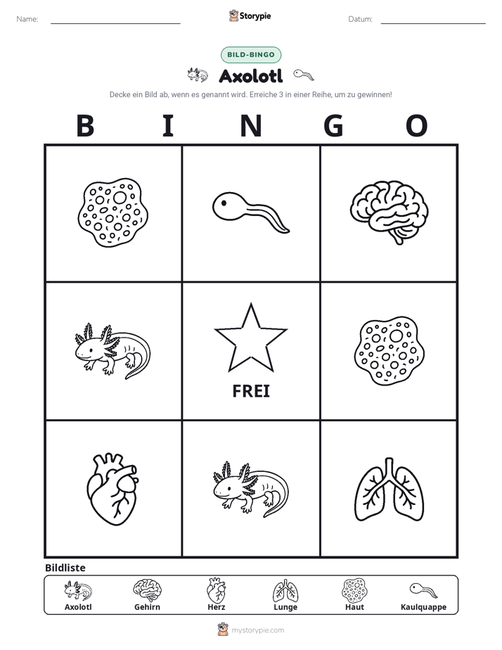 Bild-Bingo