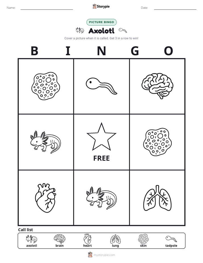Picture Bingo