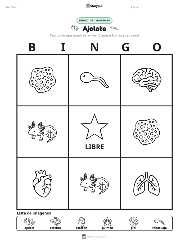 Bingo de Imágenes