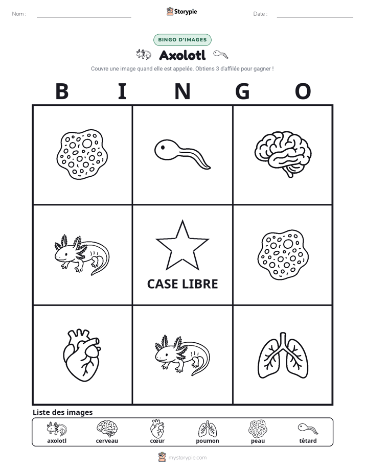 Bingo d'Images
