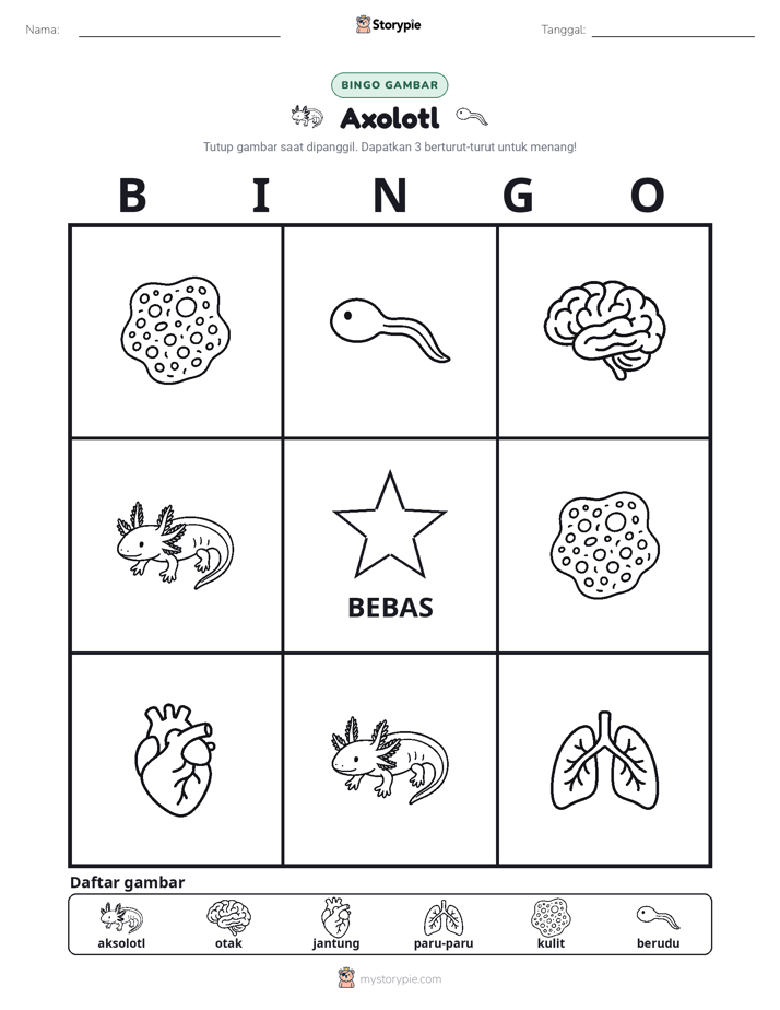 Bingo Gambar