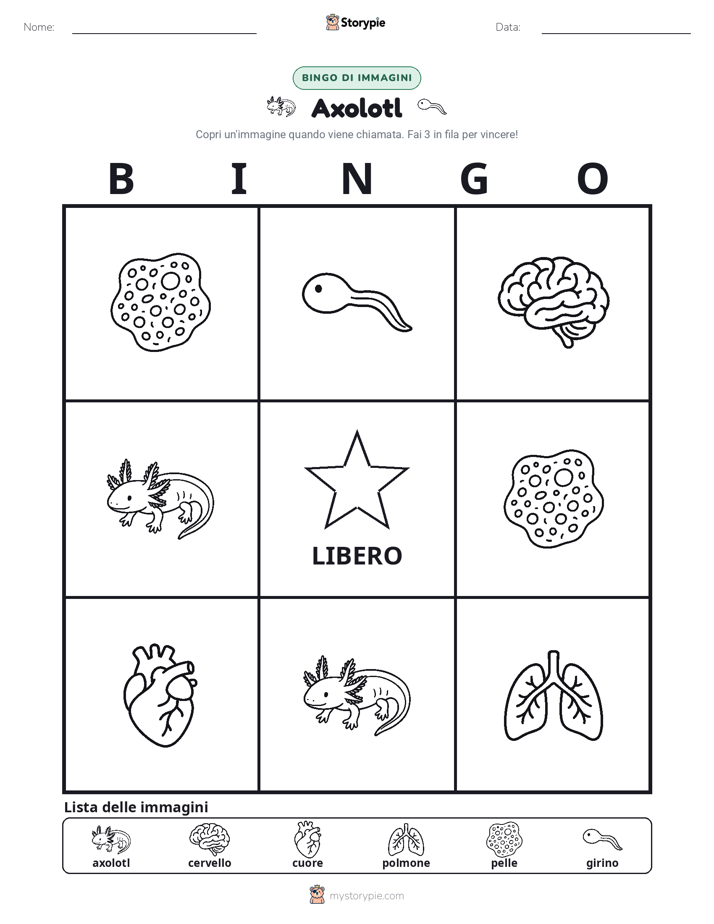 Bingo delle Immagini
