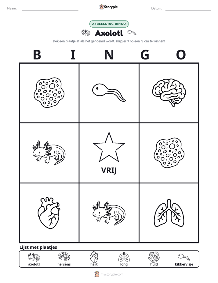 Afbeelding Bingo