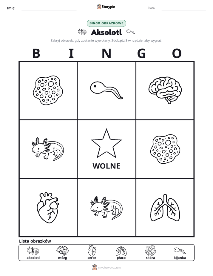 Bingo obrazkowe