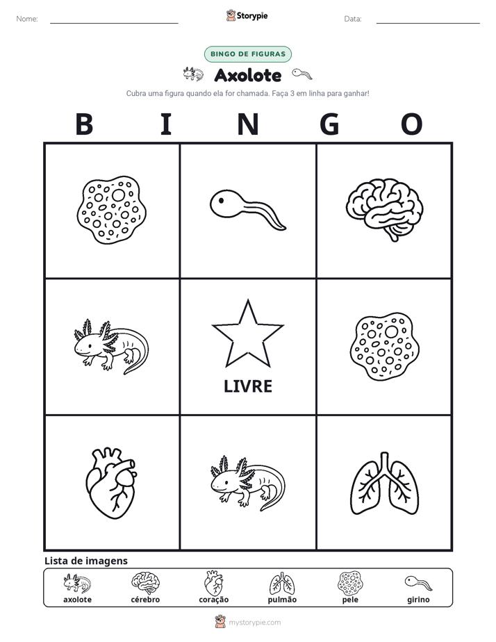 Bingo de Imagens