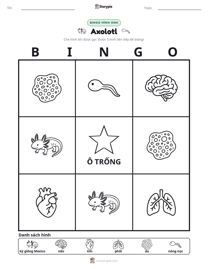 Bingo Hình Ảnh