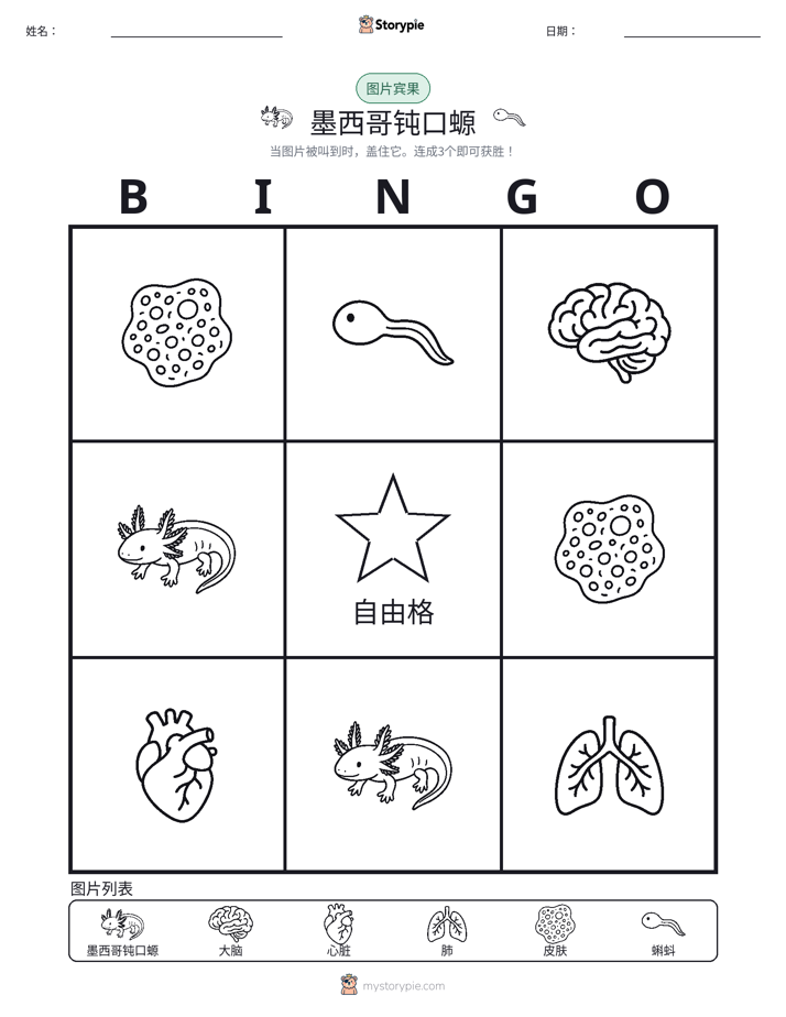 图片宾果