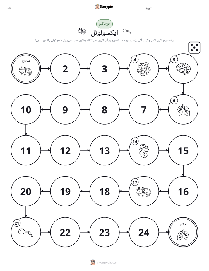 رول اور منتقل کریں کھیل