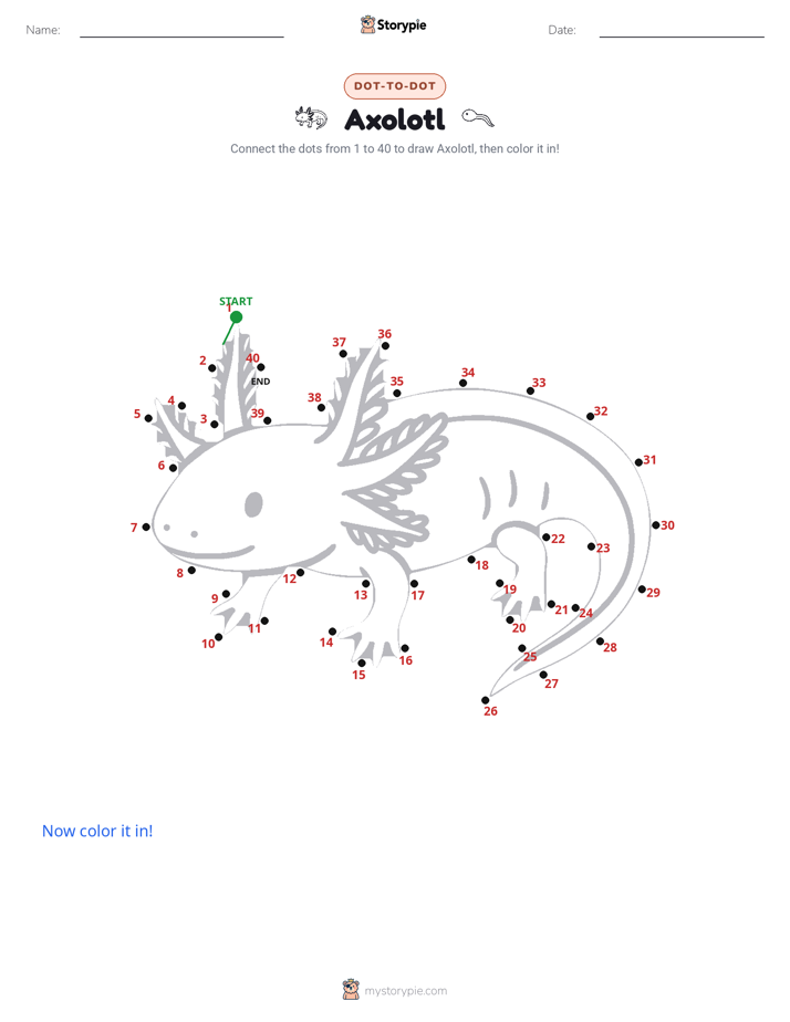 Dot to Dot
