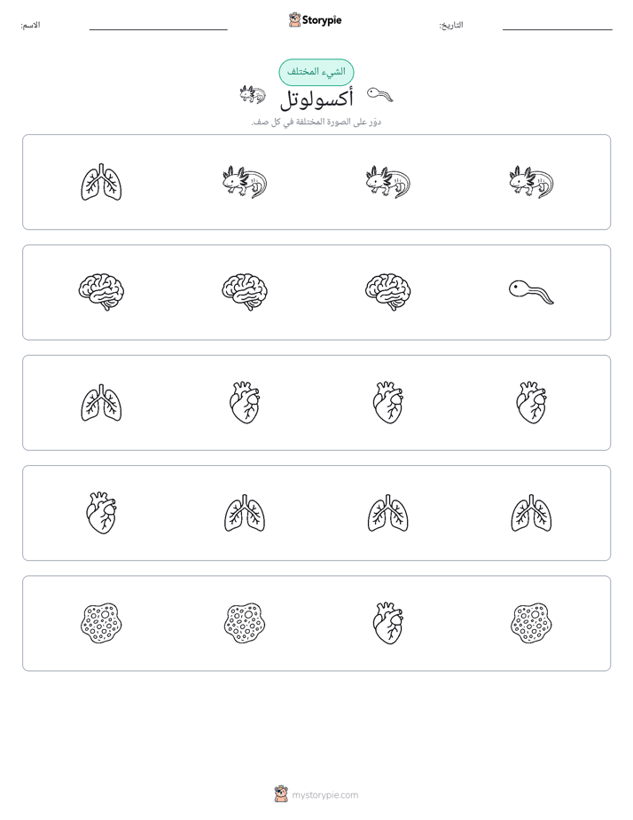 الغريب