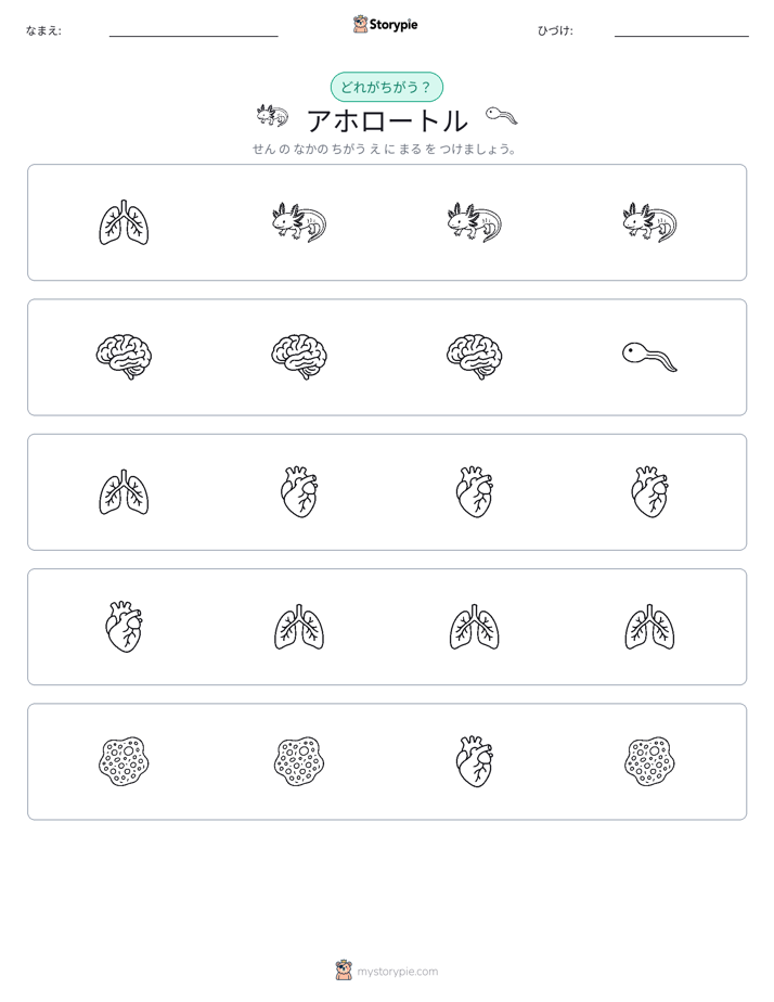 異なるものを見つけよう