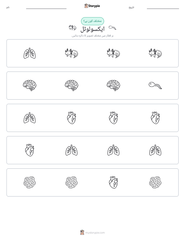 عجیب ایک