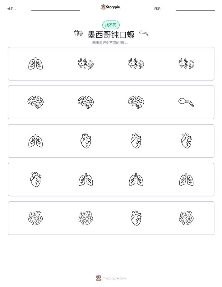 找不同