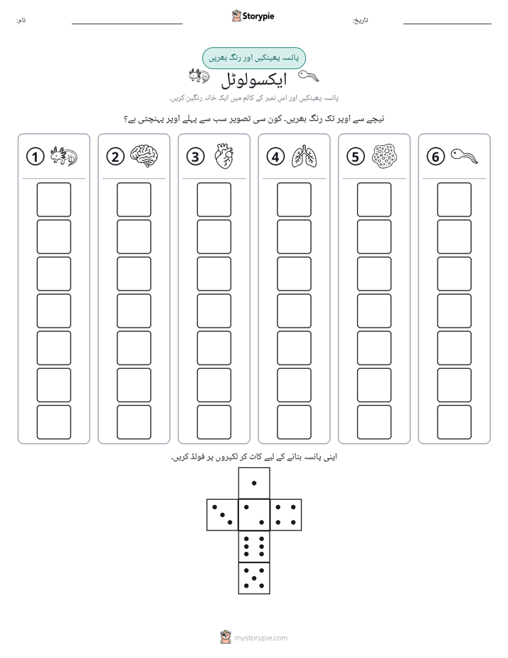 رول اور رنگ