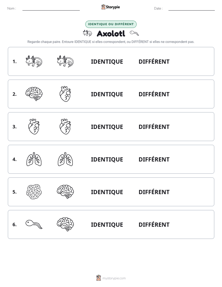 Identique ou Différent