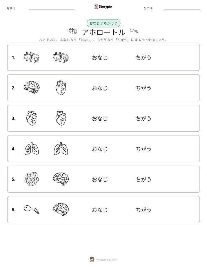 同じか違うか