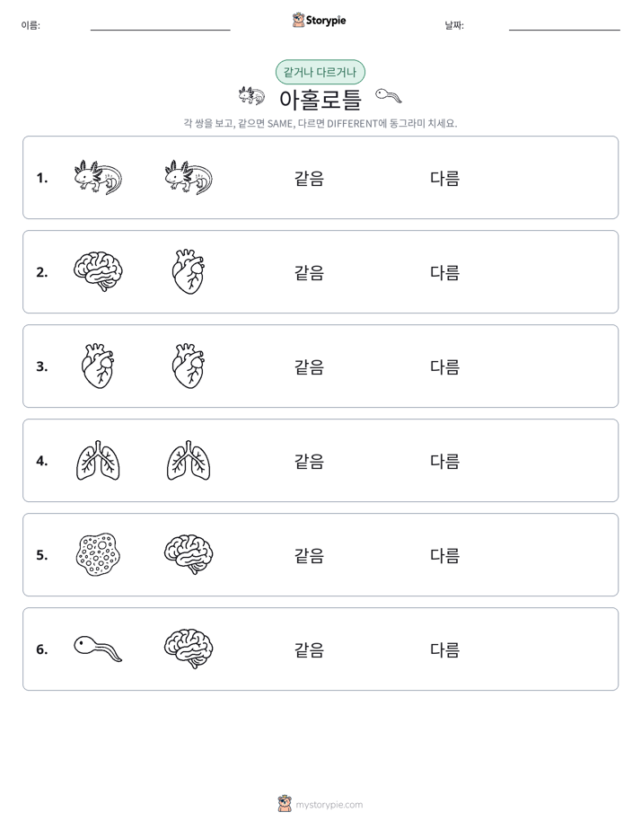 같은 것 또는 다른 것