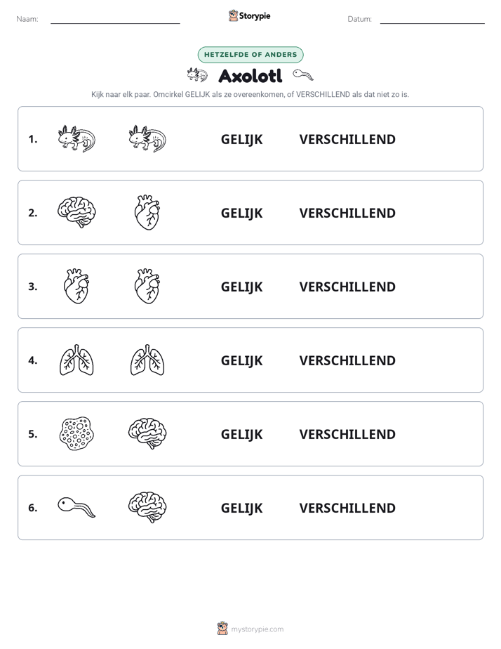 Zelfde of Verschillend