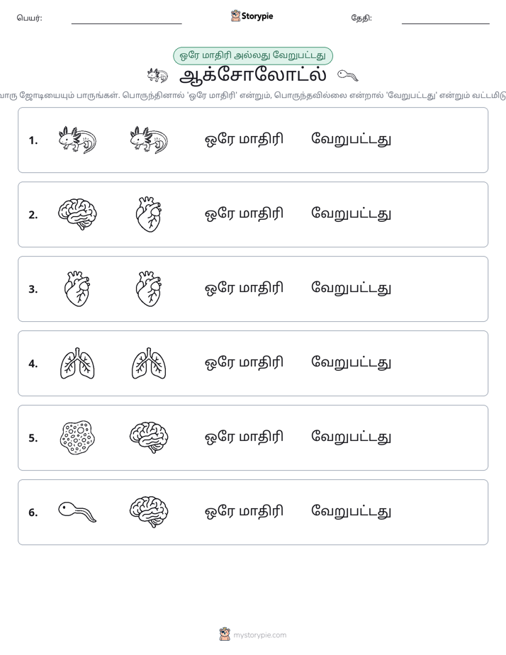 அதே அல்லது மாறுபட்டது