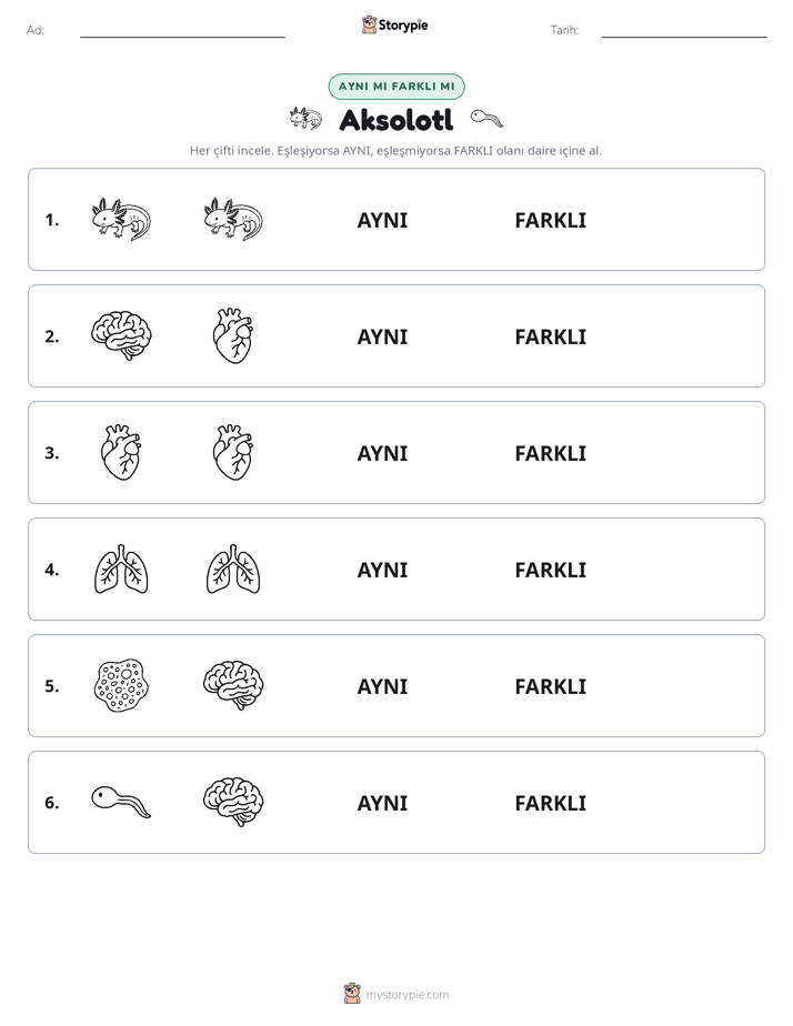 Aynı mı Farklı mı