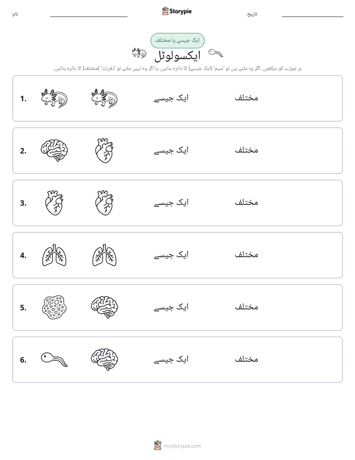 ایک جیسا یا مختلف