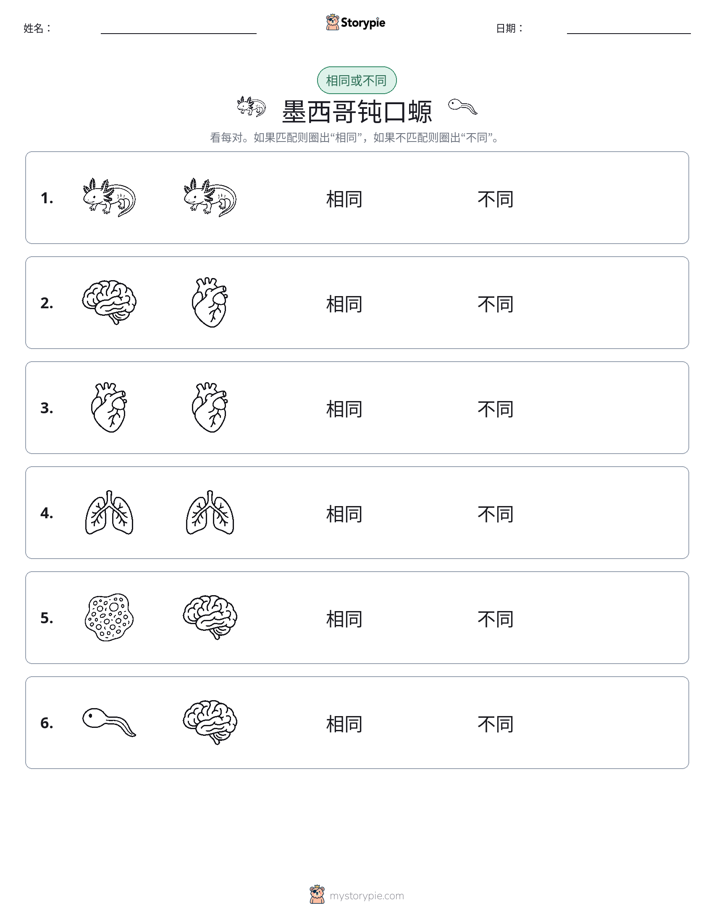 相同或不同
