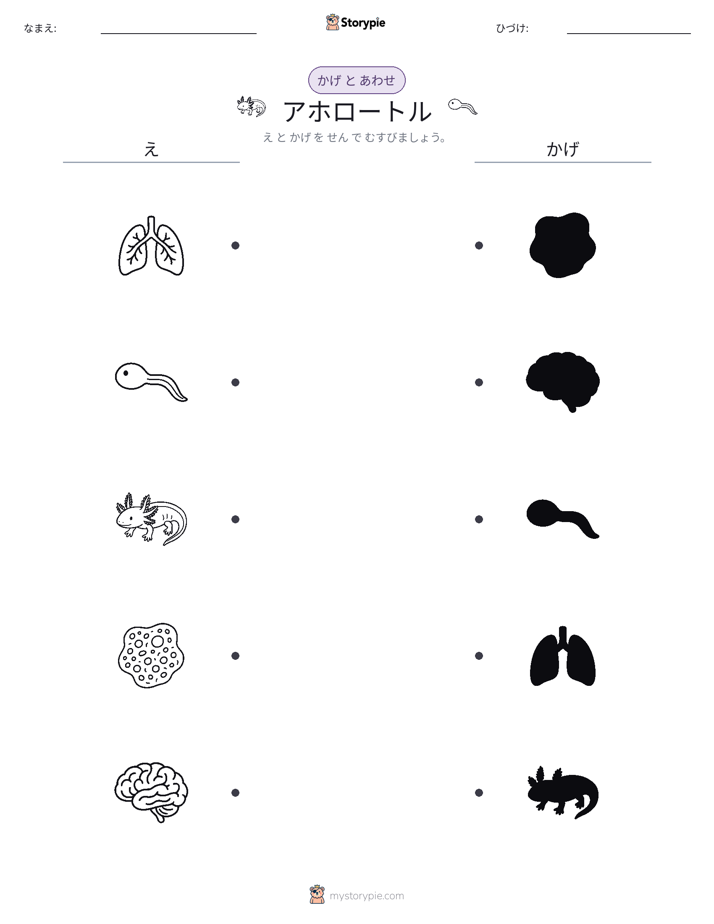 シャドウマッチ
