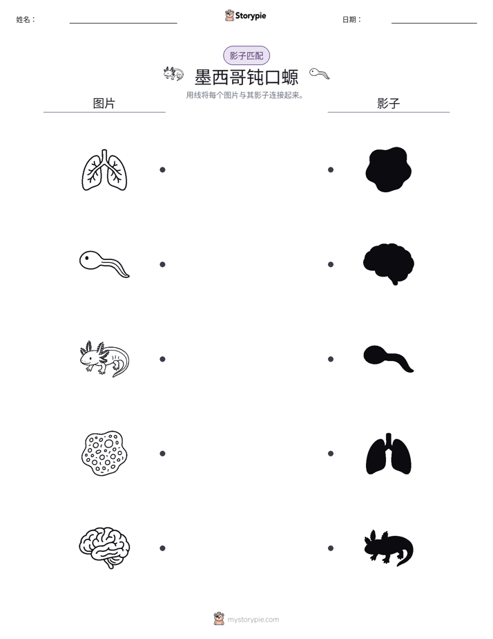 影子匹配