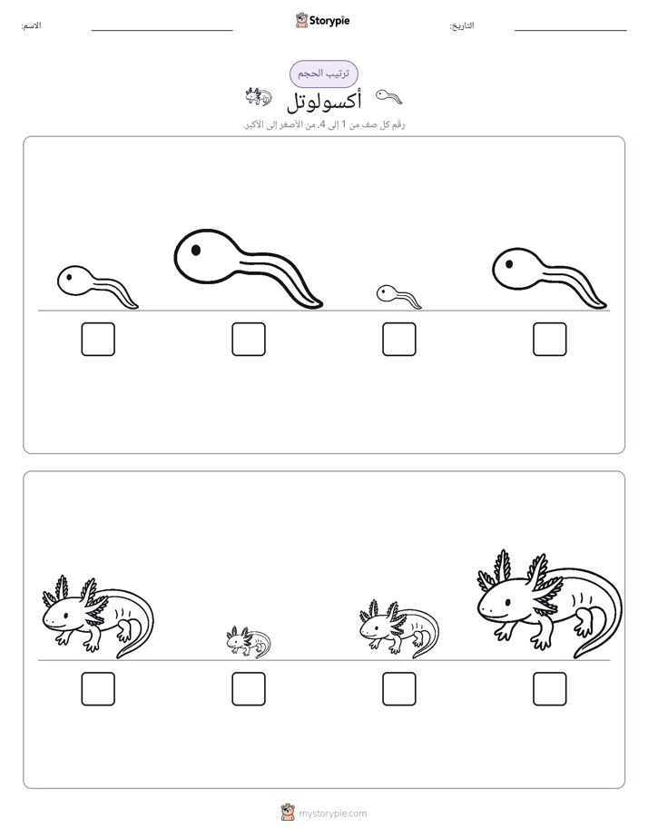 ترتيب الحجم