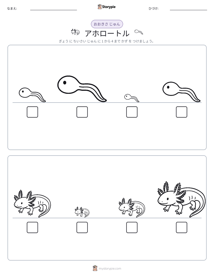 サイズ順