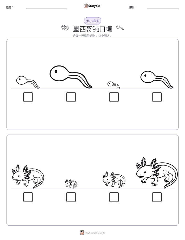 大小排序