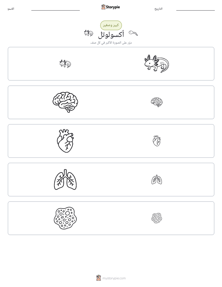 فرز