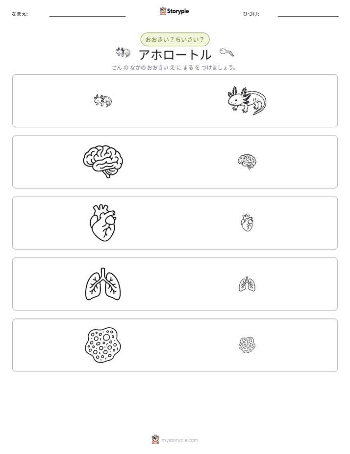 ソーティング